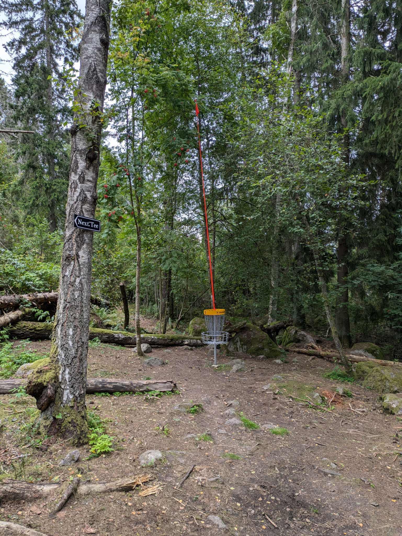 Bild från Hål 5 – Bakre / gul layout