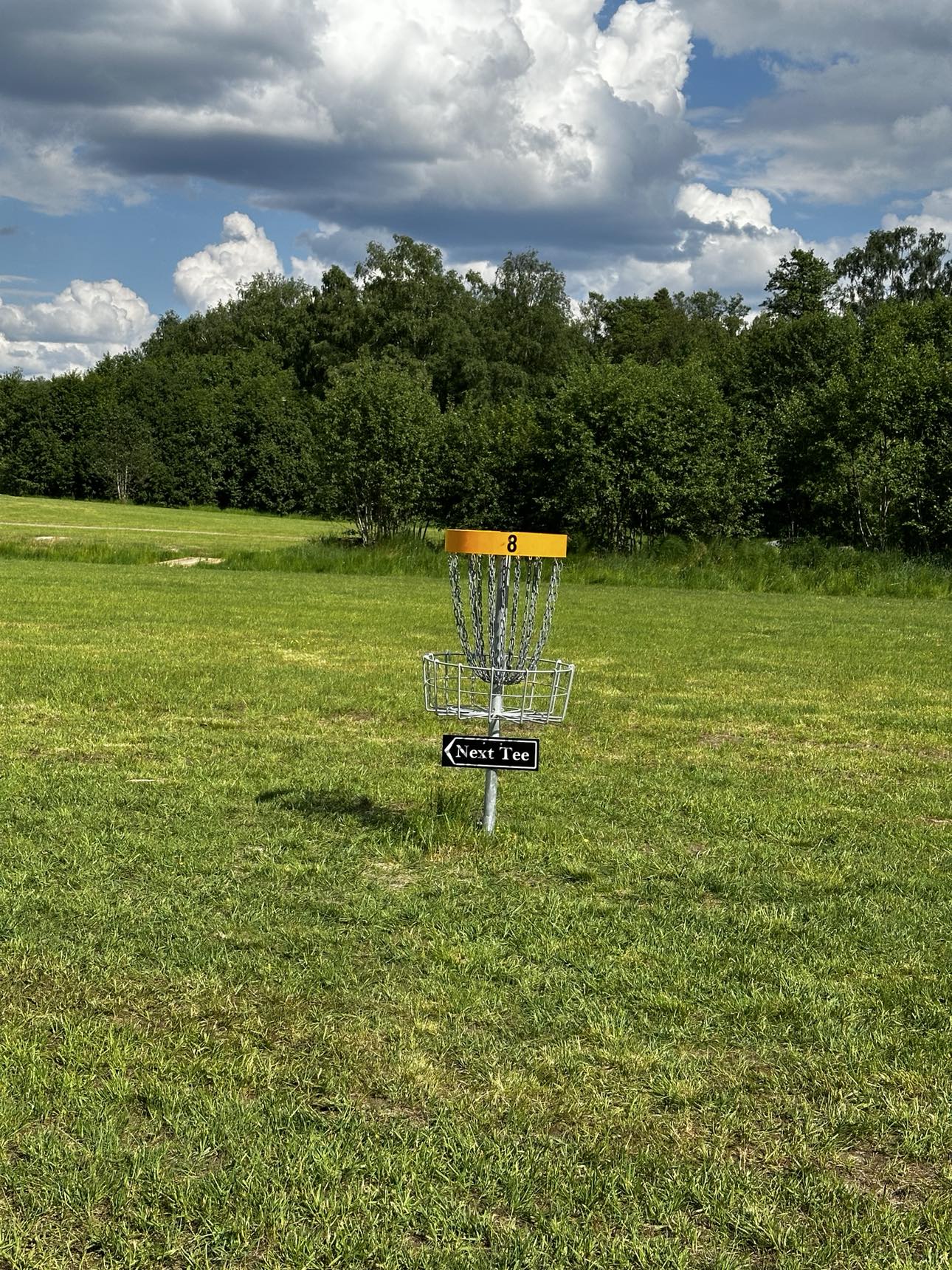 Bild från Hål 8 – Bakre / gul layout